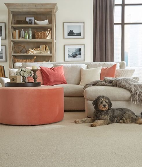 Luxury carpet in Ojai, CA from Chisum's Floor Covering